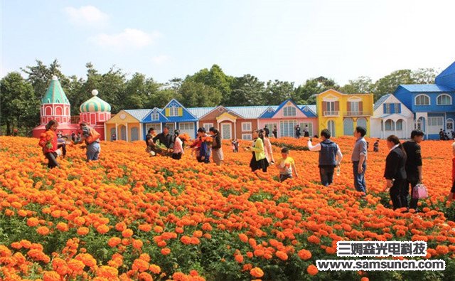 实战历练,展示风采,三姆森员工户外拓展踏春之旅_samsuncn.com